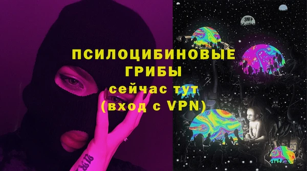 марки lsd Абаза