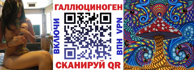 Псилоцибиновые грибы Psilocybine cubensis  Железноводск 
